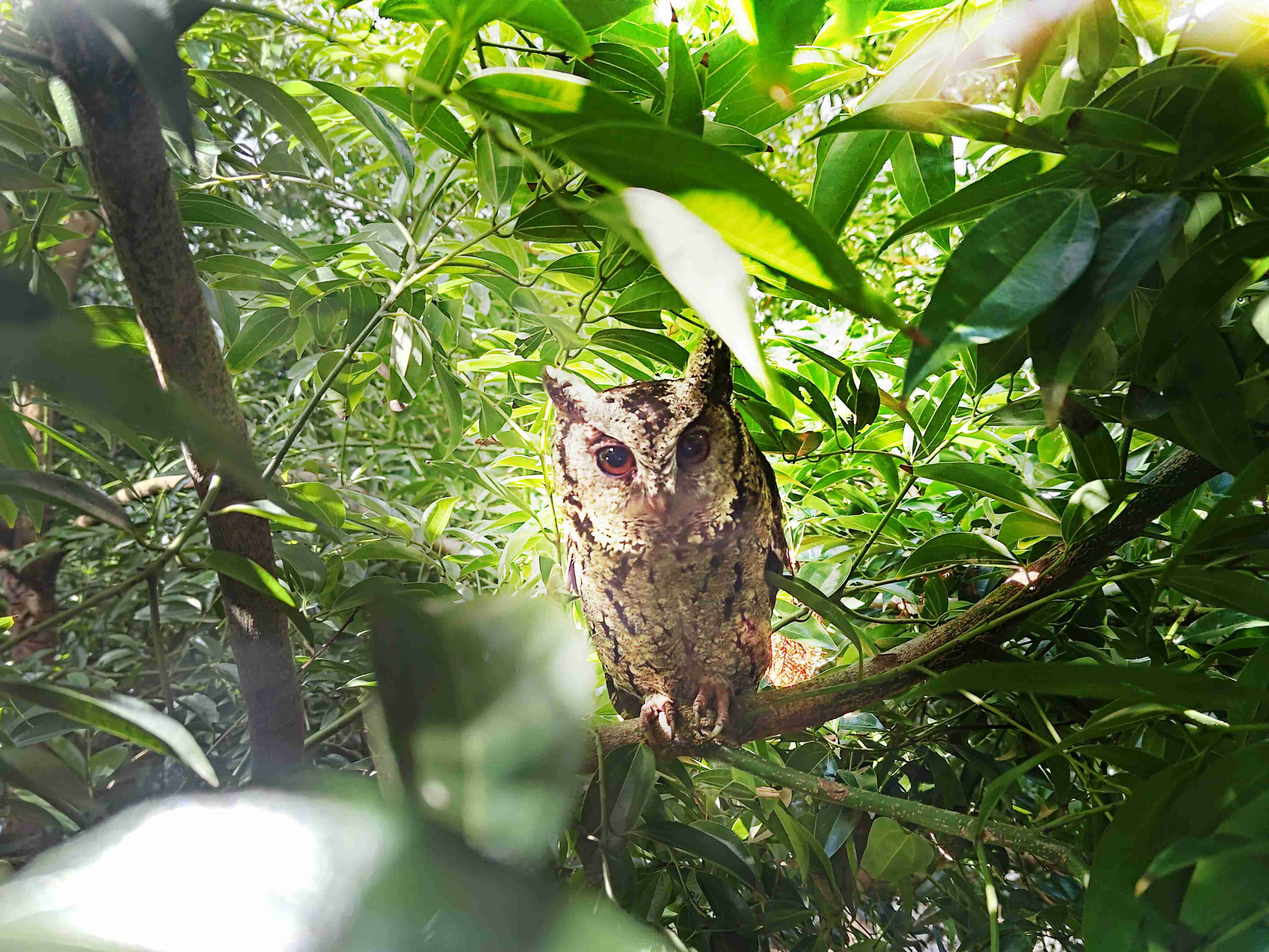 云顶国际8588yd致力提倡净零绿生活，，，，16年以来在全球各厂区植树逾百万棵，，造就各厂区树木蔚然成林，，，犹如森林工厂，，成为许多生物的栖息地